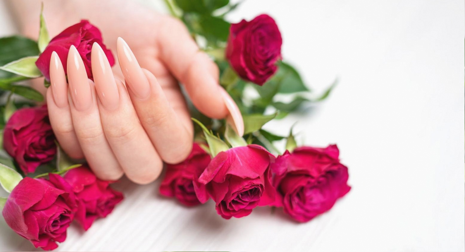 Structured nail extension curriculum module overview